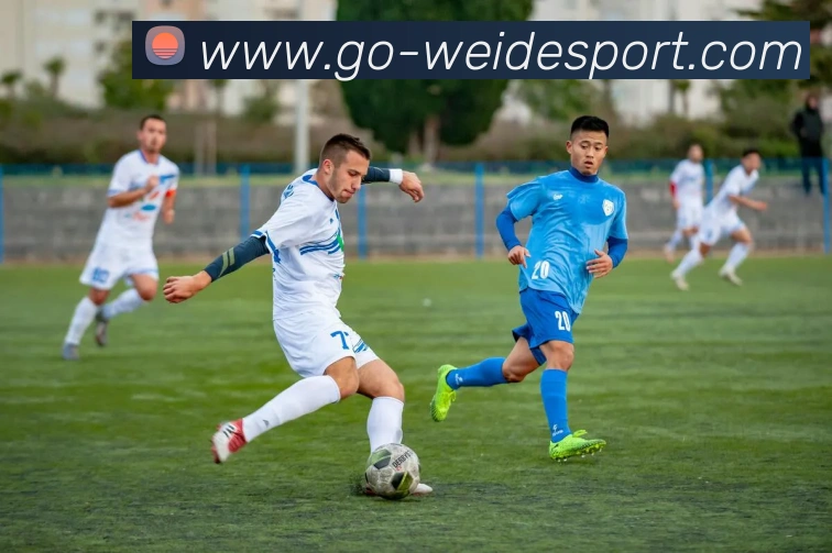 伟德体育品牌故事